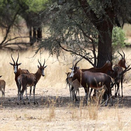 Otjisazu Guest Farm Βίλα Khorusepa Εξωτερικό φωτογραφία