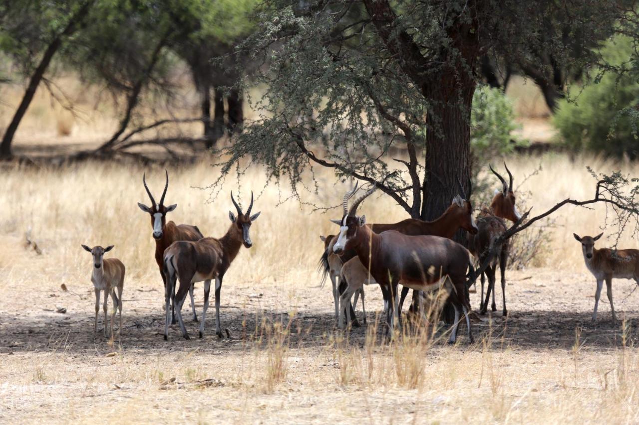 Otjisazu Guest Farm Βίλα Khorusepa Εξωτερικό φωτογραφία